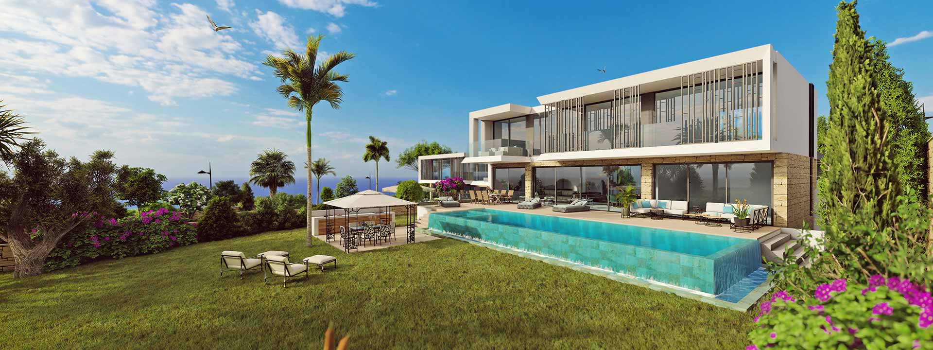 03  1129 03 Type 7C Back