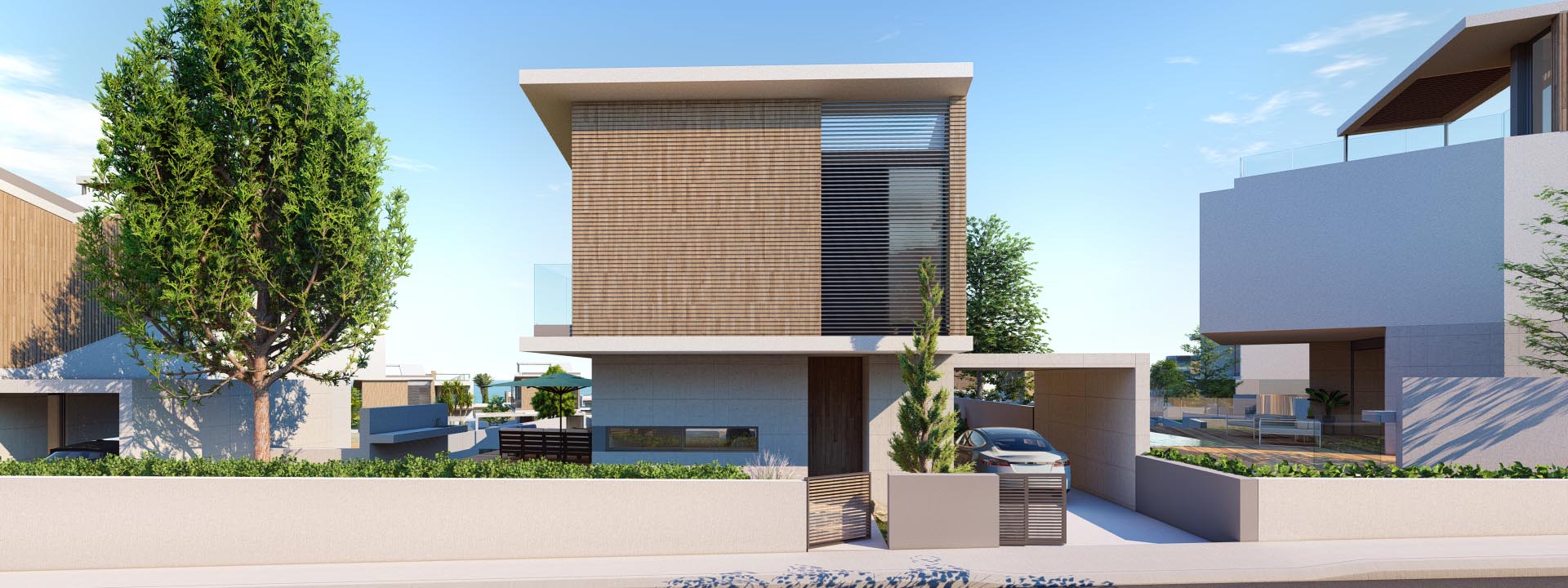 07 V41 Type C1 CORALLI 2  web 1